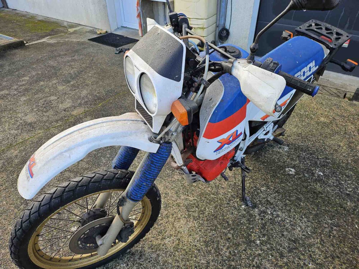 recién salida del granero y de la furgoneta de mi hermano.