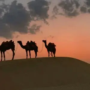 ruta en moto marruecos medio alto atlas y desierto en 9 dias