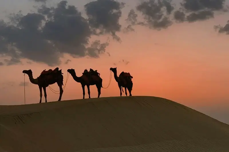 ruta en moto marruecos medio alto atlas y desierto en 9 dias